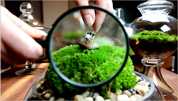 Mini Painter in Terrarium